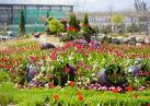 2021년 제천시 농업기술센터 정원(4월) 이미지
